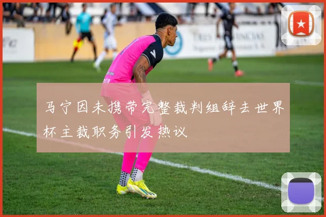 马宁因未携带完整裁判组辞去世界杯主裁职务引发热议